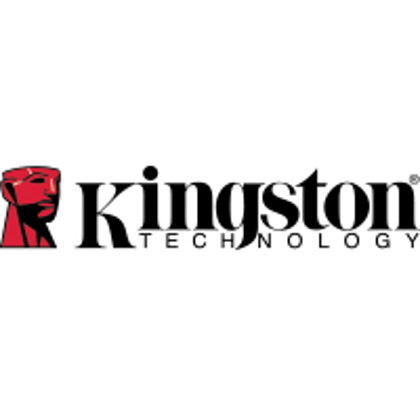 Picture for manufacturer Kingston