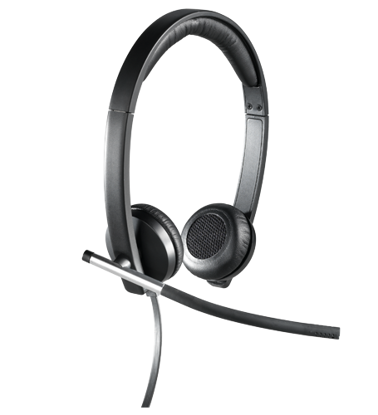 Logitech H650E 2.0 USB (981-000519) sive, slušalke z mikrofonom