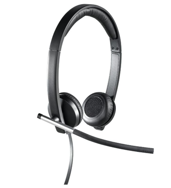 Slika - Logitech H650E 2.0 USB (981-000519) sive, slušalke z mikrofonom