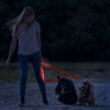 Leash with LED - with battery - 120 x 2.5 cm - red