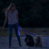 Leash with LED - with battery - 120 x 2.5 cm - blue
