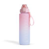 Slika - Family športna plastenka za vodo 1L roza/modra