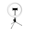 Slika - Powerton 10" (26cm) White LED Ring light, držalo za telefon tripod