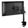 Slika - Arctic X1 AEMNT00061A LCD 40 - 43", namizni nosilec za monitor