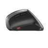 Slika - Cherry MW 4500 (JW-4500) črna ergonomska brezžična miška