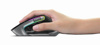 Slika - Gembird MUSG-RAGNAR-WRX900 RGB gaming črna ergonomska brezžična miška