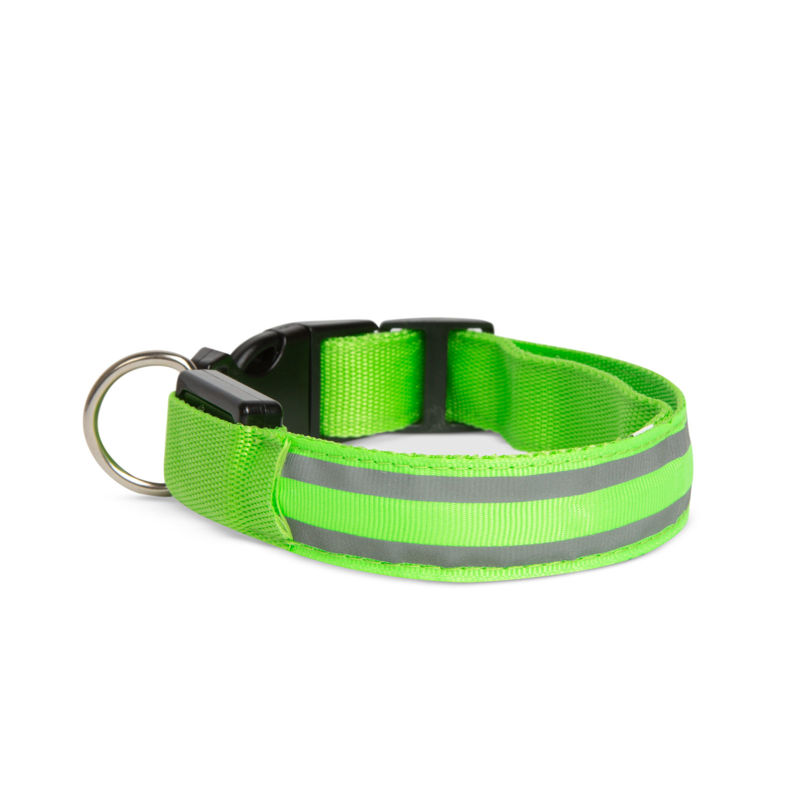 Slika - Yummie ovratnica z LED osvetlitvijo - USB z baterijo - velikost S (43cm) - zelena