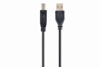 Slika - Gembird CCP-USB2-AMBM-10 USB A (M) - USB B (M) 2.0 3m Black, kabel
