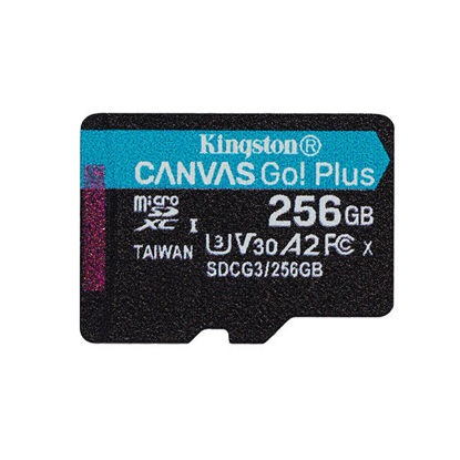 Kingston Canvas Go! Plus, 256GB, micro SDXC, SDCG3/256GBSP, UHS-I U3, A2, V30, SD kartica