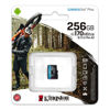 Slika - Kingston Canvas Go! Plus, 256GB, micro SDXC, SDCG3/256GBSP, UHS-I U3, A2, V30, SD kartica