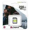 Slika - Kingston Canvas Select Plus, 256GB, SDXC, SDC2/256GB, UHS-I U3 (Class 10), A1, SD kartica