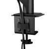 Slika - Arctic X1-3D (AEMNT00062A) LCD 49", namizno stojalo