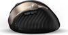 Slika - Genius Ergo 8250S Wireless Champagne Gold (31030031400) ergonomska brezžična miška