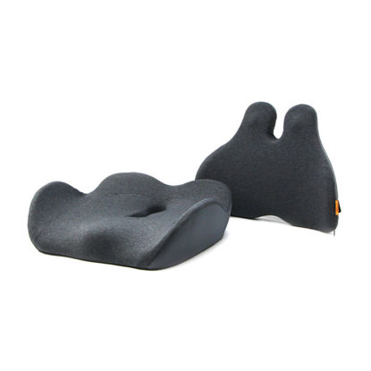 Powerton ERGO NESTIS WPEUS4 komplet ledvene opore in opornega sedeža, ergonomski, antracit, spominska pena