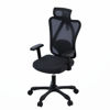 Slika - Gembird OC-ONYX pisarniški ergonomski stol "Onyx", črn, mreža