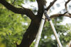 Slika - Fiskars SmartFit Teleskopske škarje za veje L86 915mm (1013564)