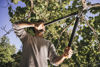 Slika - Fiskars PowerGear II L77 (1000583) 700mm velike škarje za debelejše veje 50mm