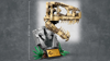 Slika - LEGO 76964 Jurassic World: Dinozavrski fosili: tiranozavrova lobanja