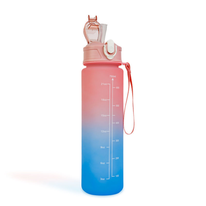 Slika - Family športna plastenka za vodo -750ml - BPA FREE - roza/modra z vgrajeno slamico