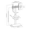 Slika - Gembird TVS-55T-02 talno stojalo za TV  z nastavljivo višino – brez vrtanja 32"-55"