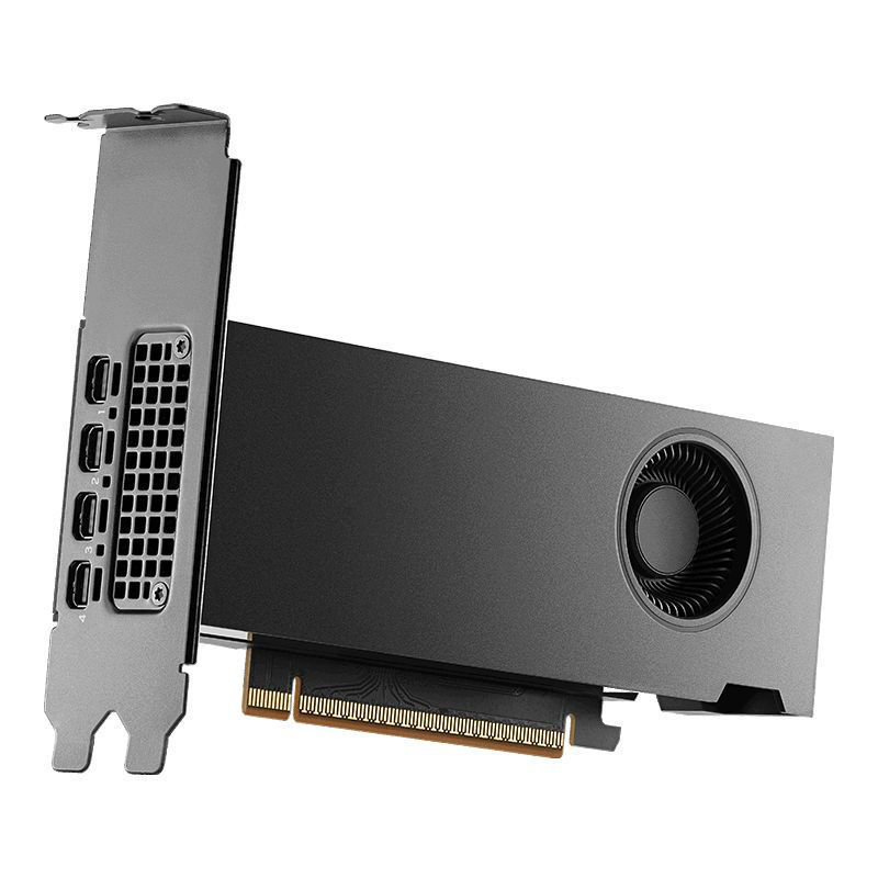 Slika - PNY RTX PRO 2000 Blackwell 16GB GDDR7, 128-bit, 4x mini DisplayPort (VCNRTXPRO2000-PB) grafična kartica