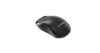 Slika - Gembird MUSW2-4B-01 Dual-mode brezžična miška (Bluetooth + 2.4G, tihi gumbi, črna)