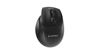 Slika - Gembird MUSW3-9B-01 ergonomska brezžična miška Triple-mode (Bluetooth + 2.4G + žično, 9 tipk, črna)