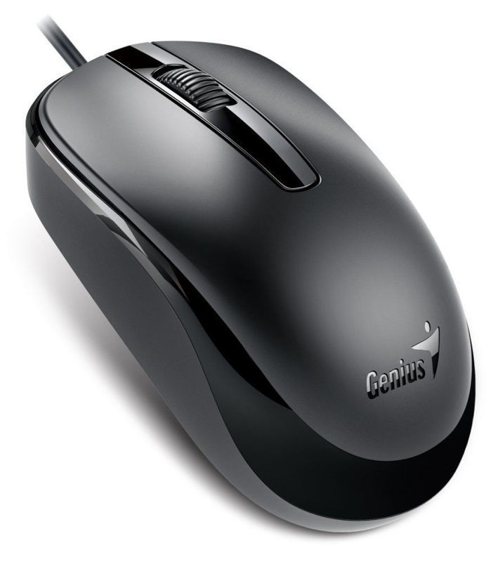Slika - Genius DX-120 žična optična miška (USB-C priključek, 1200 DPI, simetrična, črna) 31010029401