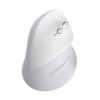Slika - Powerton ERGO SPIRA vertikalna ergonomska brezžična miška (Bluetooth / 2.4G, 3200 DPI, RGB, črna) WPM12E