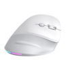 Slika - Powerton ERGO SPIRA vertikalna ergonomska brezžična miška (Bluetooth / 2.4G, 3200 DPI, RGB, črna) WPM12E
