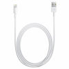Slika - Apple Originalni Apple USB-A v Lightning polnilni in podatkovni kabel (1 m, bel, MXLY2ZM/A)