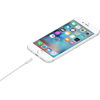 Slika - Apple Originalni Apple Lightning v USB-A polnilni in podatkovni kabel (1 m, bel, MUQW3ZM/A)