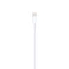 Slika - Apple Originalni Apple Lightning v USB-A polnilni in podatkovni kabel (1 m, bel, MUQW3ZM/A)