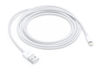 Slika - Apple Originalni Apple USB-A v Lightning polnilni in podatkovni kabel (2 m, bel, MD819ZM/A)