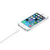 Slika - Apple Originalni Apple USB-A v Lightning polnilni in podatkovni kabel (2 m, bel, MD819ZM/A)