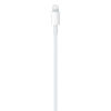 Slika - Apple Originalni Apple USB-C v Lightning polnilni in podatkovni kabel (1 m, bel, MUQ93ZM/A)