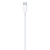 Slika - Apple Originalni Apple USB-C v Lightning polnilni in podatkovni kabel (1 m, bel, MUQ93ZM/A)