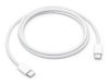 Slika - Apple Originalni Apple 60W pleteni USB-C v USB-C polnilni in podatkovni kabel (1 m, bel, MW493ZM/A)